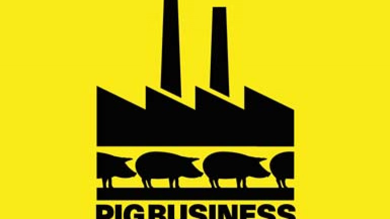 Pig Business